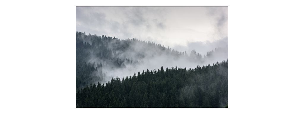 Muralo Fototapete Wald im Nebel 135 (B) x 90 (H) cm Vlies Tapete Wandtapeten Gebirge Bäume Wohnzimmer Schlafzimmer moderne Wandbilder XXL Landscha...