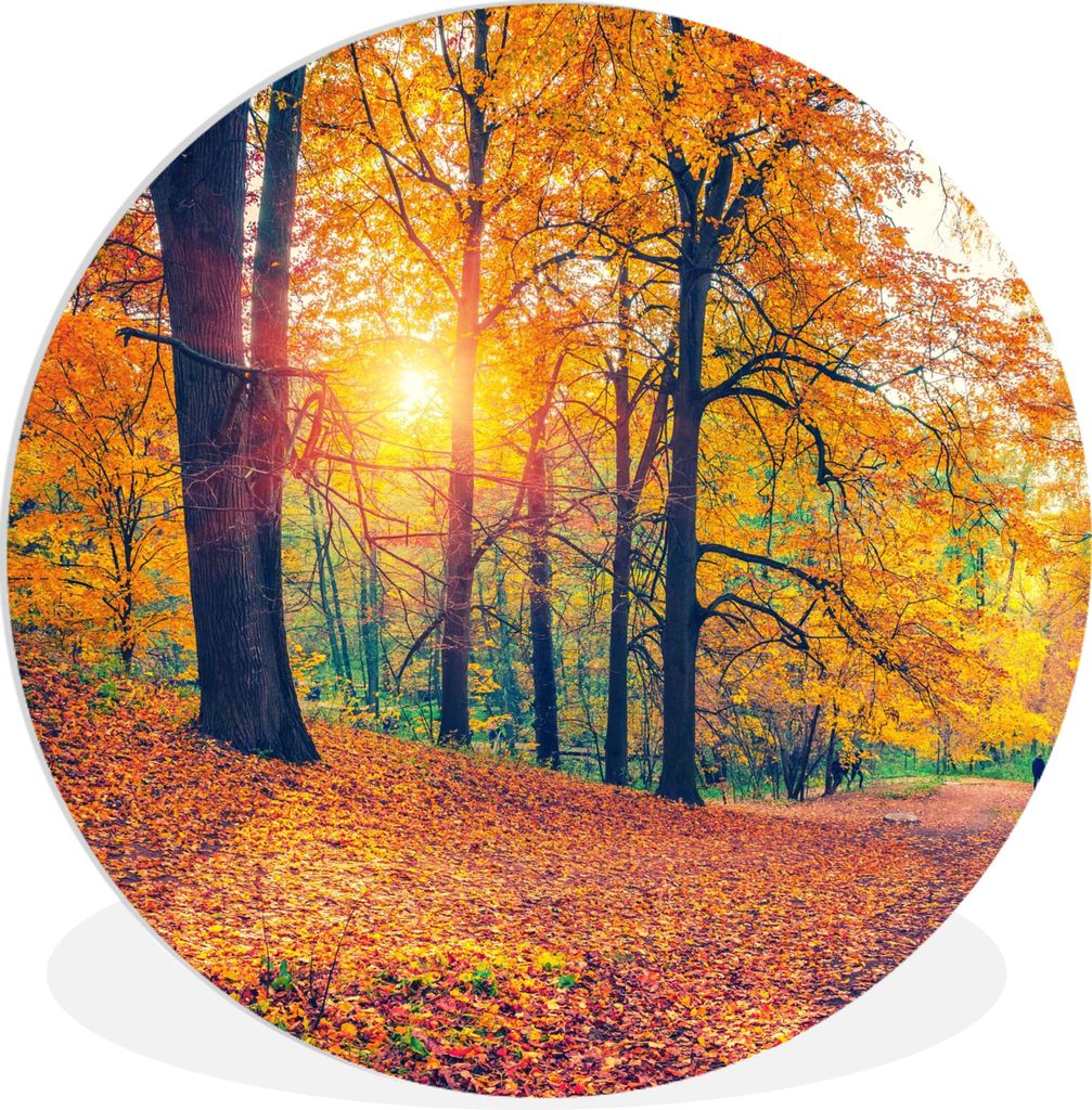 MuchoWow Rundes Wandbild - Runde Bilder Bäume - Herbst - Wald - Herbstliche Blätter Ø 90 cm Kreis Wanddekoration Kunststoff - Wandkreis - Wand...