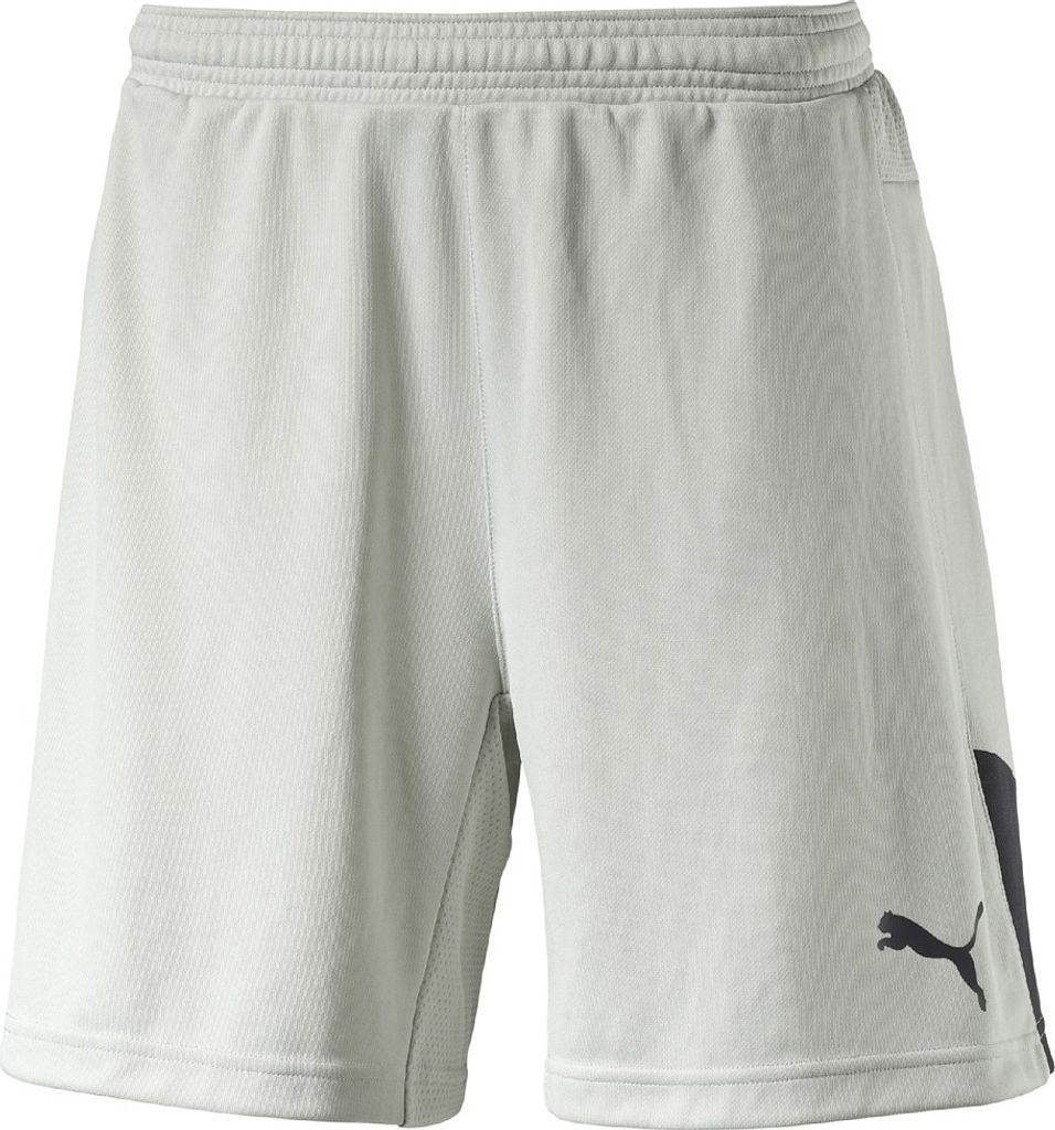 Puma Stadium GK Short