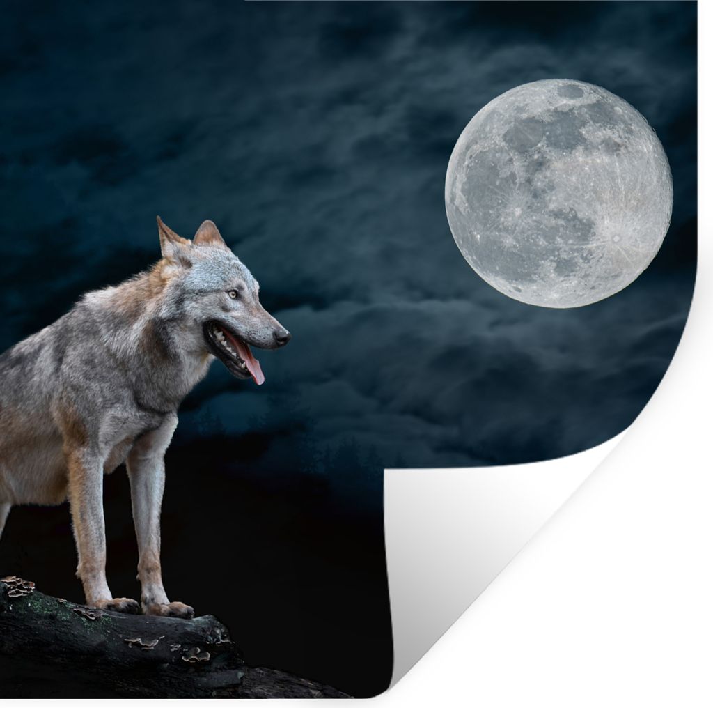 MuchoWow Wandtattoo Wandsticker Wandaufkleber Wolf - Mond - Nacht - Tiere - Porträt 30x30 cm Selbstklebend und Repositionierbar - Repositionierb...