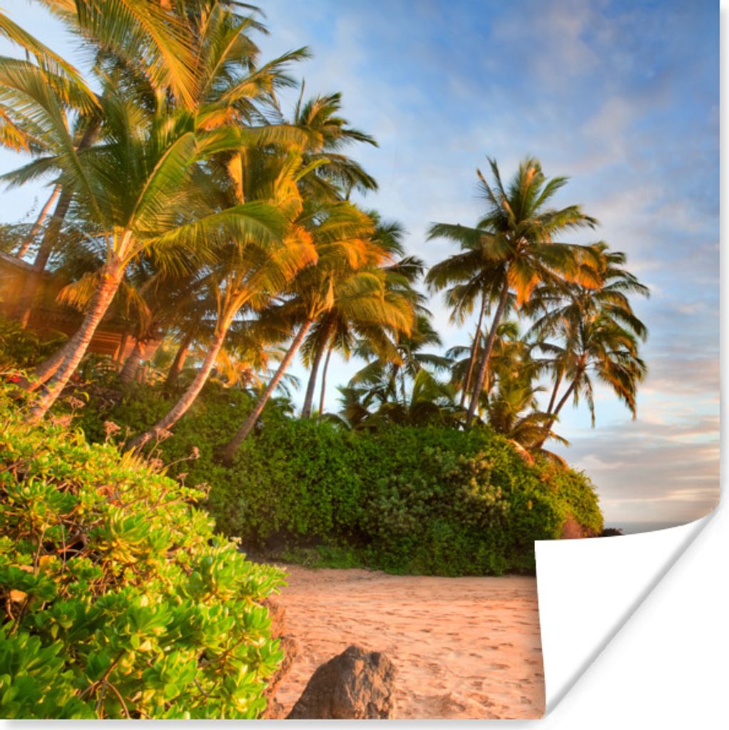 MuchoWow Poster Schief hängende Palmen am Strand der amerikanischen Insel Hawaii 50x50 cm - Wohnzimmerdekoration