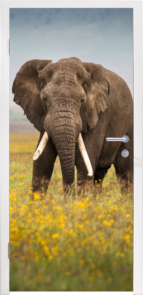 MuchoWow Türtapete Selbstklebende Türfolie Weidender Elefant in einem Blumenfeld 85x205 cm Türposter Türaufkleber Klebefolie Türklebefolie -...