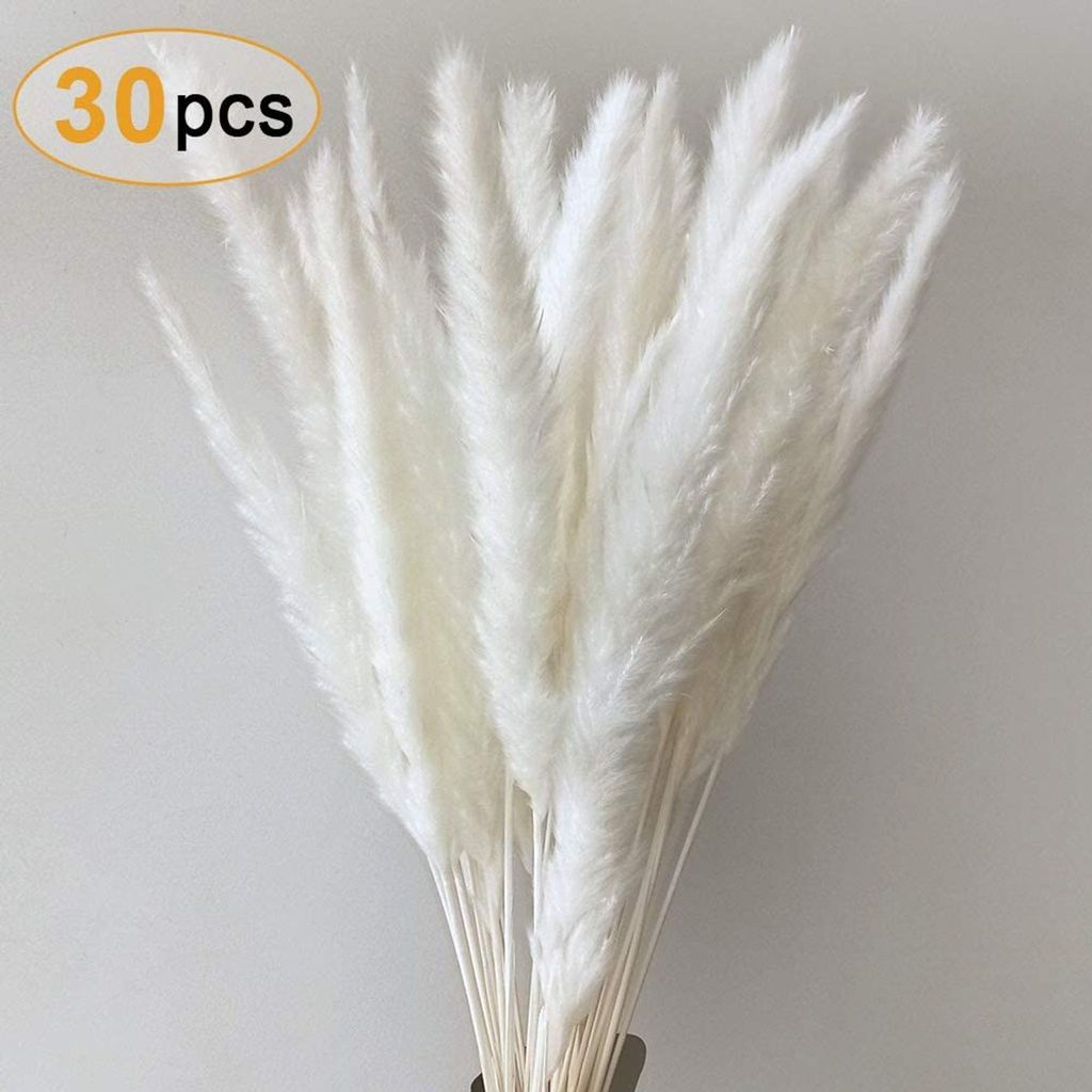Pampasgras, Natürliche Pampasgras Getrocknet Pampas Gras Produktbild 