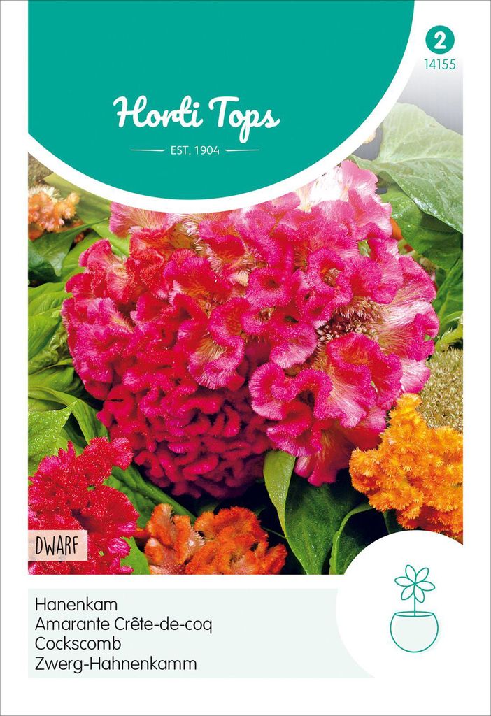 Zwerg-Hahnenkamm Mischung | Blumensamen von Hortitops Produktbild 