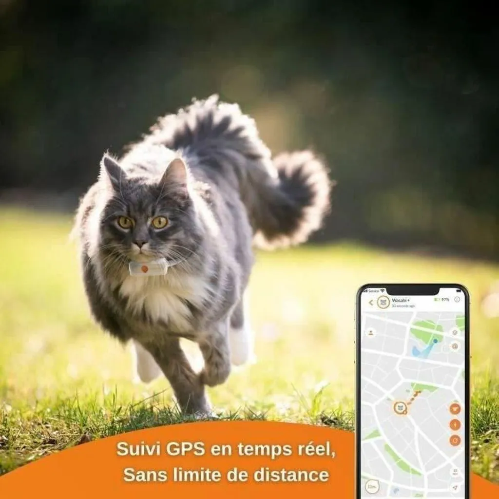 Localiser mon Chat avec Weenect XS : GPS Anti-perte sans Limite Blanc