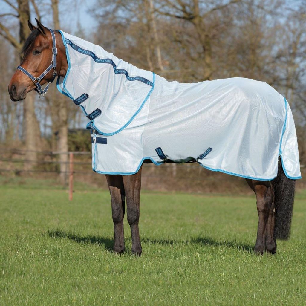Horseware Amigo Petite Bug Rug - Azure Blue/Electric Blue