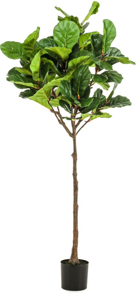 artplants.de Deko Ficus Lyrata ABIULA, Echtstamm, grün, 195cm - Künstliche Grünpflanze