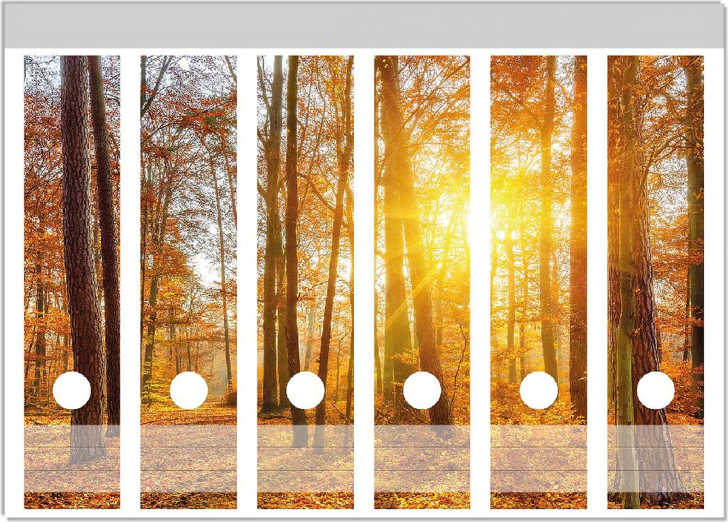 Wallario Ordnerrücken Sticker, selbstklebend für breite Ordner, 6 Stück, Motiv Sonnenuntergang im herbstlichen Wald