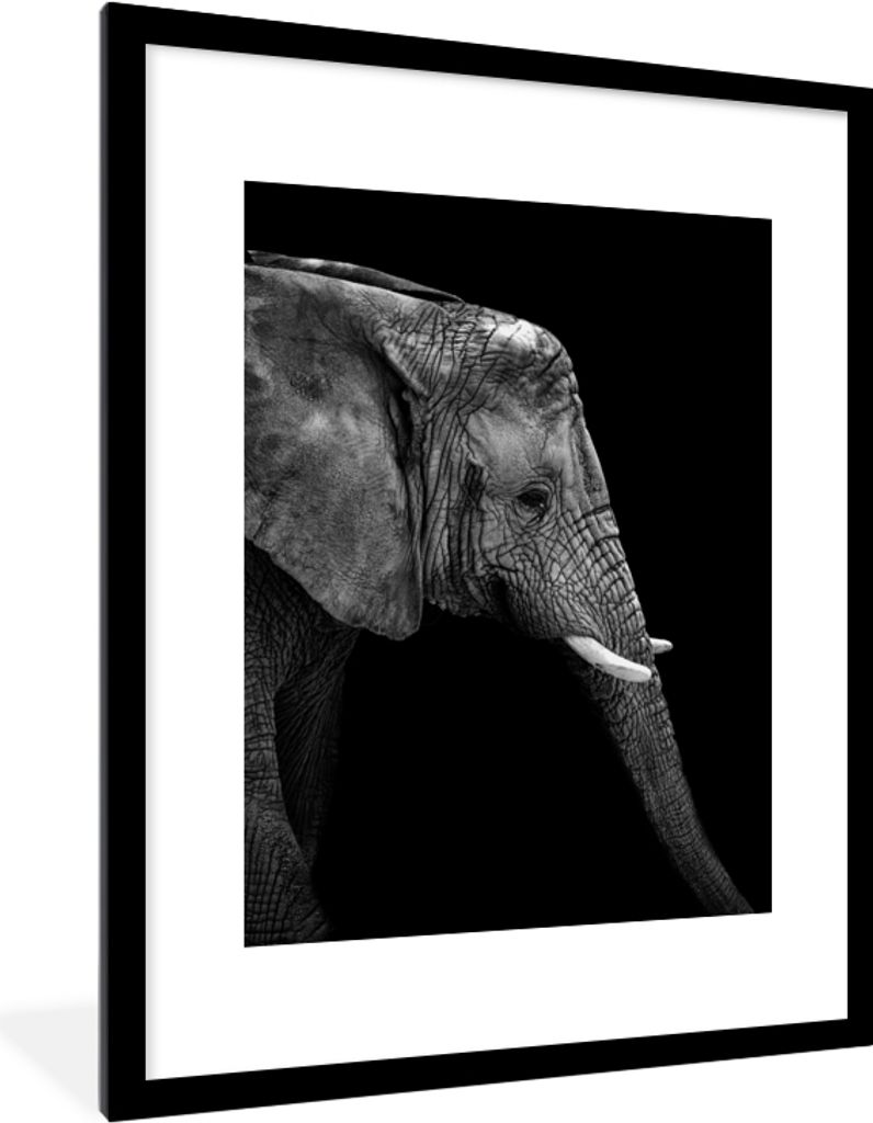 MuchoWow Gerahmtes Poster Elefant - Schwarz und weiß - Porträt - Tiere 60x80 cm - Poster mit Schwarzem Bilderrahmen Wandposter Rahmen Foto Bild...
