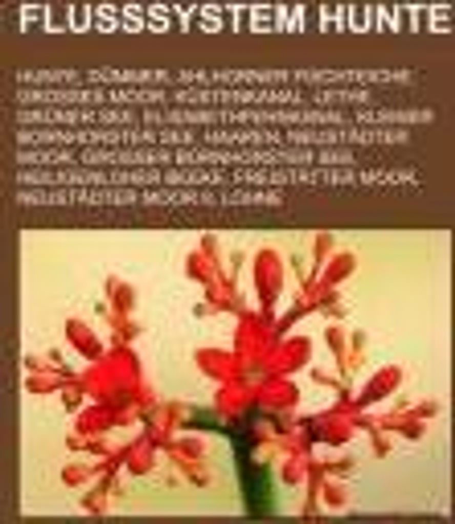 Flusssystem Hunte
