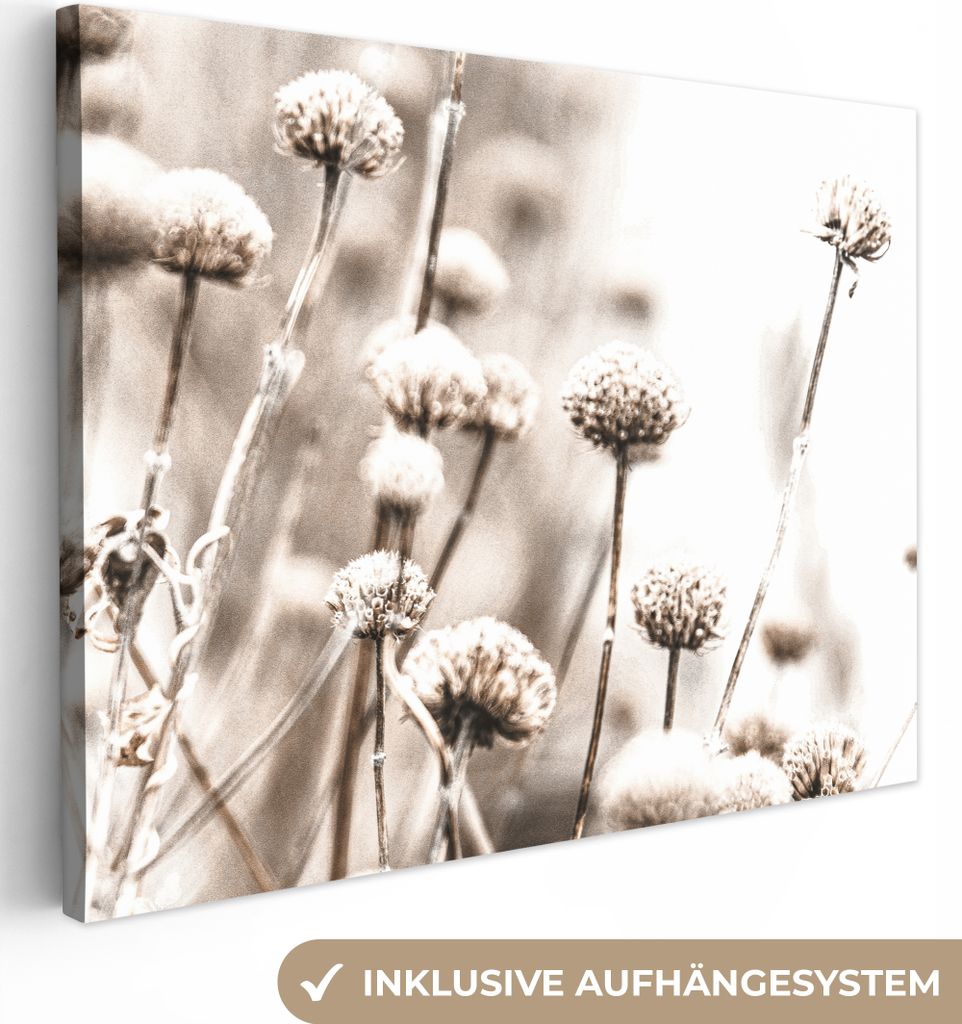 MuchoWow - Leinwandbilder - Blumen - Pflanzen - Stillleben - Natur, Wandbild, Wanddeko Bilder Wohnzimmer, 80x60 cm