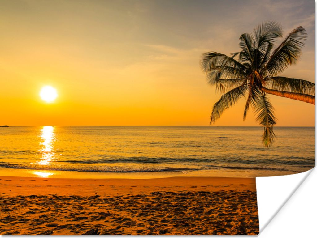 MuchoWow Poster Palme - Strand - Sonnenuntergang - Meer 40x30 cm - Plakate für die Wände - Poster Wohnzimmer