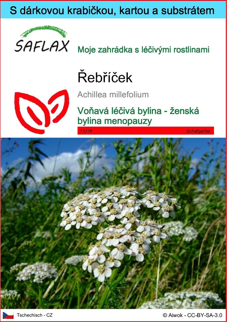 SAFLAX Dárková sada - řebříček - Achillea millefolium - 200 Obrázek produktu 