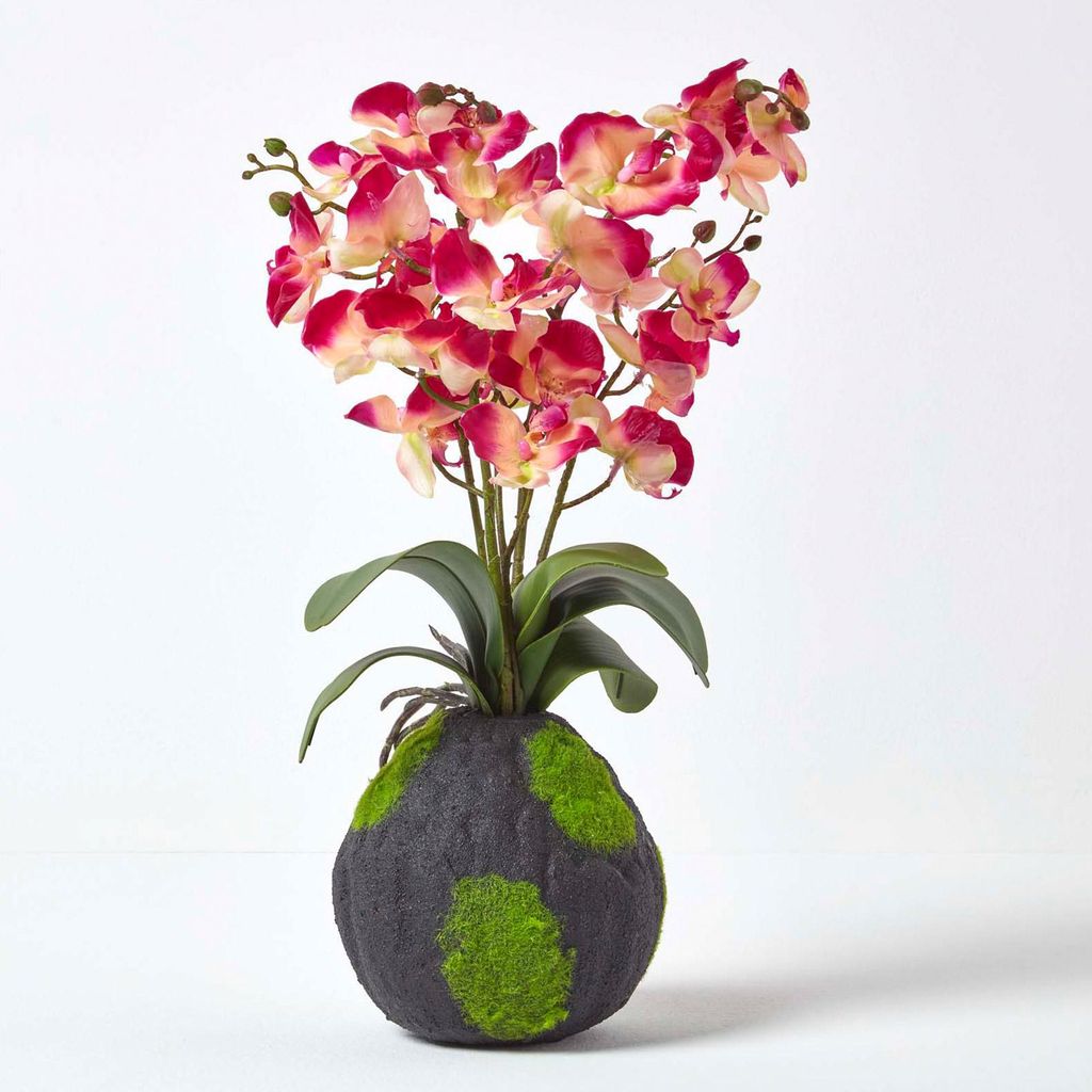 HOMESCAPES Kunstblumen Phalaenopsis Orchidee Rosa mit einem natürlichen Sockel, 60 cm hoch
