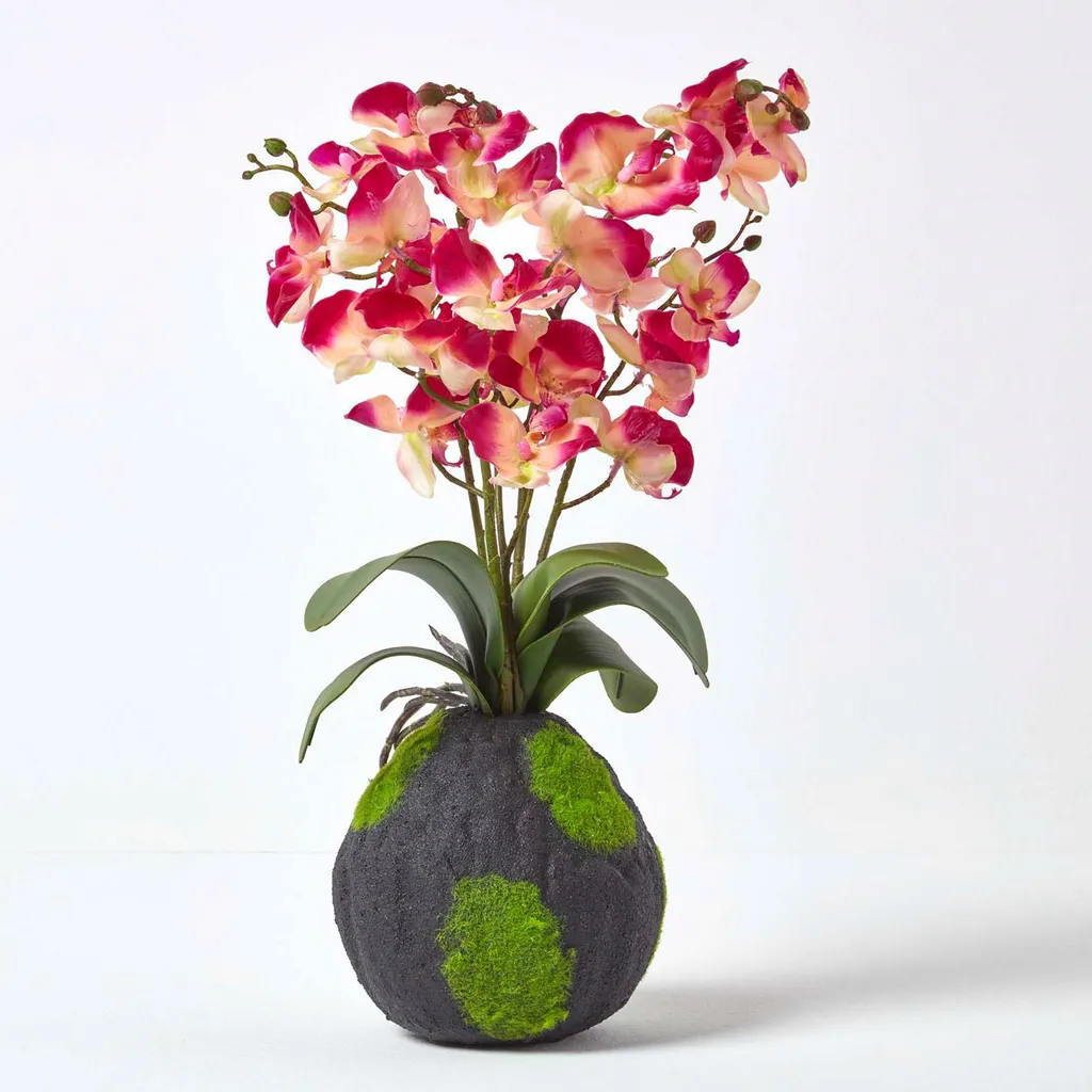HOMESCAPES Orchidée Phalaenopsis Artificielle Rose Socle Naturel 60 cm