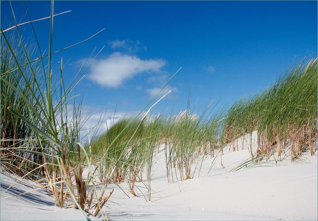 Wallario Fototapete Vliestapete, seidenmatte Oberfläche, einfache Verarbeitung, Größe 350 x 245 cm, Motiv Düne am Strand unter blauem Himmel