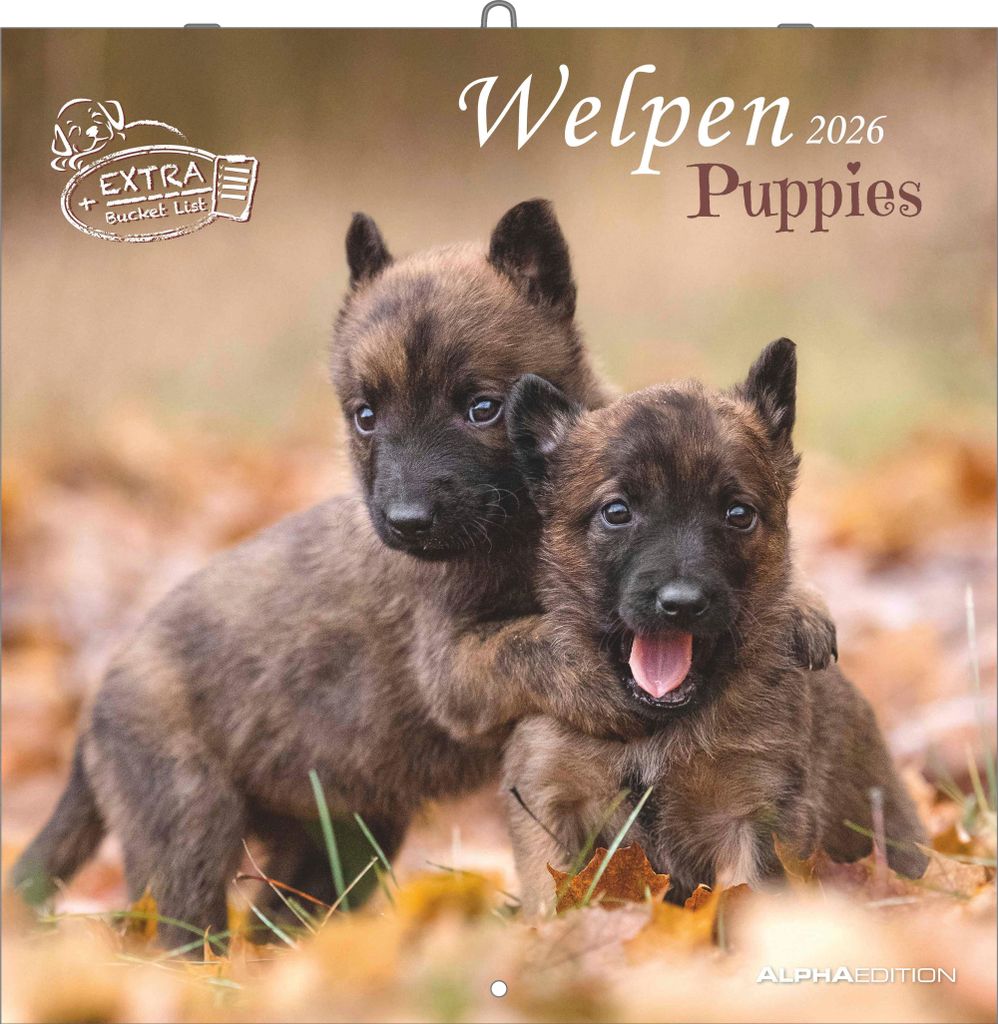 Alpha Edition - Welpen Kalender 2026 - Wandkalender 30x30 cm (30x60 cm geöffnet) - Für Hundeliebhaber - 12 süße Hundefotografien, viel Platz f...