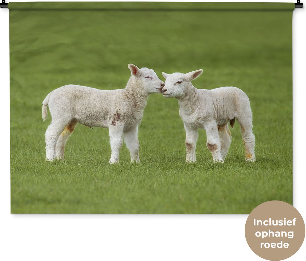 MuchoWow Wandteppich Wandbehang Schaf - Lamm - Bauernhof 120x90 cm Tapisserie Dekoration Wandtuch - Wohnen - Aufhänger für die Wand