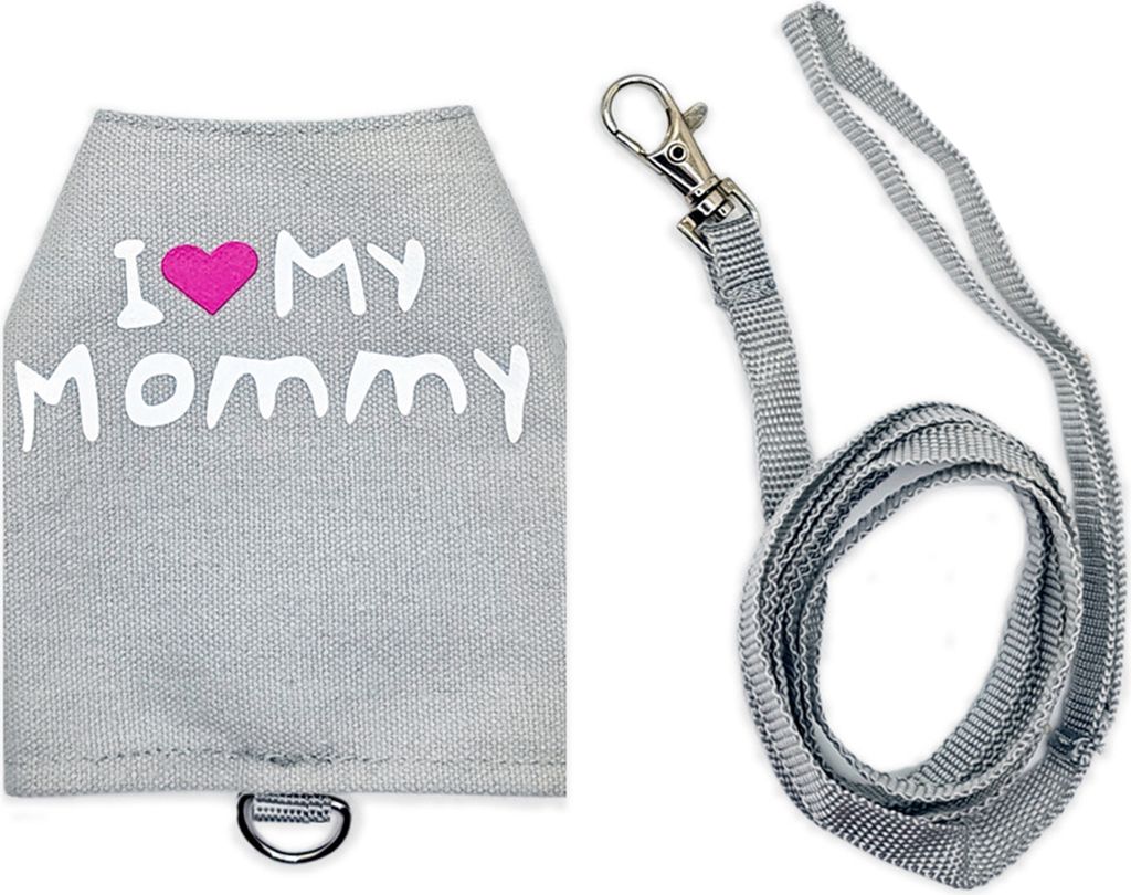 Leine-Geschirr-Set für Eidechsen und Reptilien, verstellbar, für Kleintiere, Geschirr mit Zugseil für Bartagamen, Chamäleons, Spaziergänge im ...