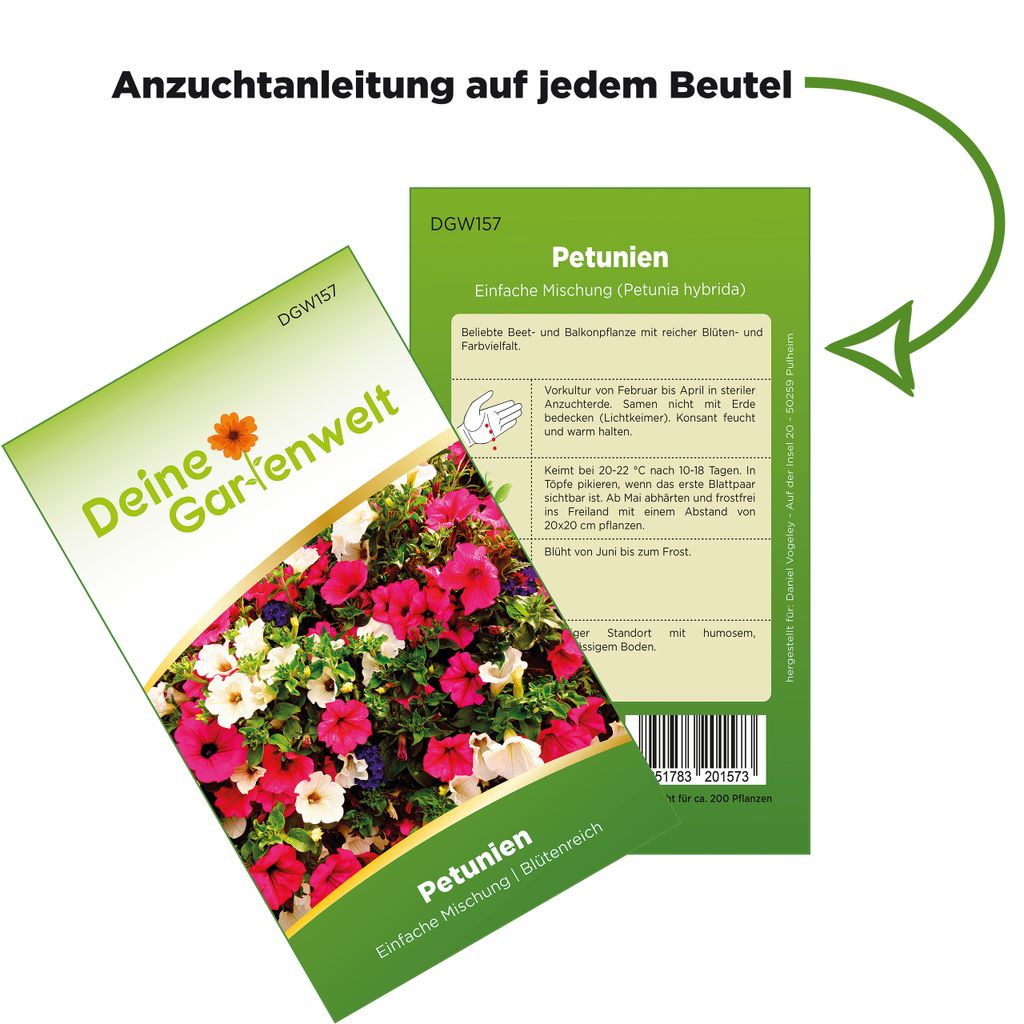 Petunien Einfache Mischung Samen - Petunia hybrida - Produktbild 3