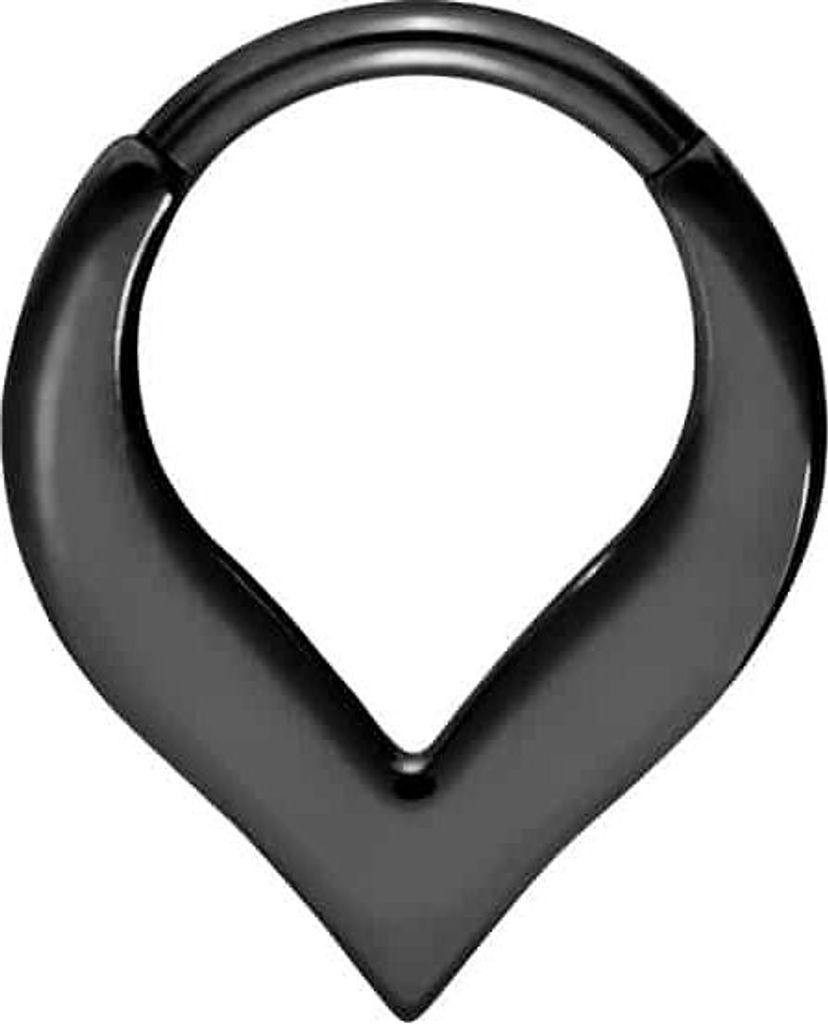Ohrpiercing, Nasenpiercing, Septum Piercing Chirurgenstahl Segmentring Clicker SPITZ