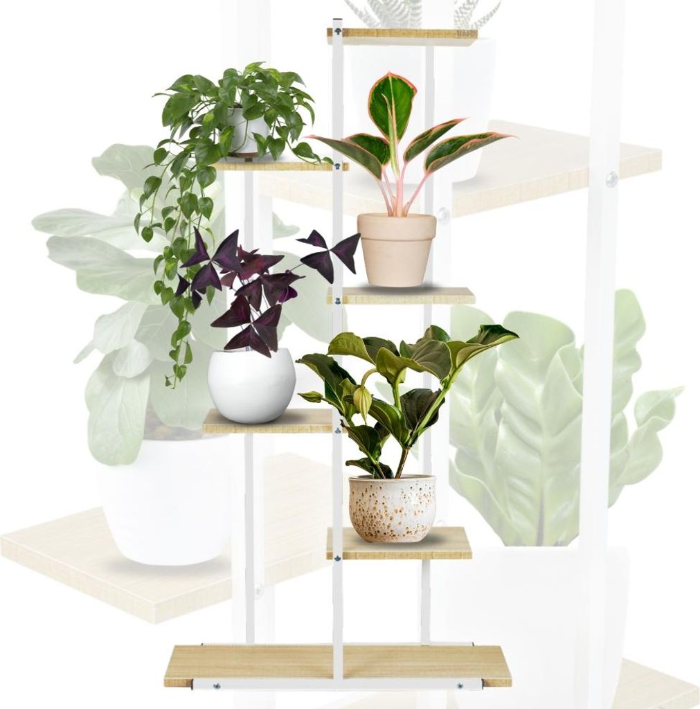 A multi-tiered plant stand with several potted plants on display.