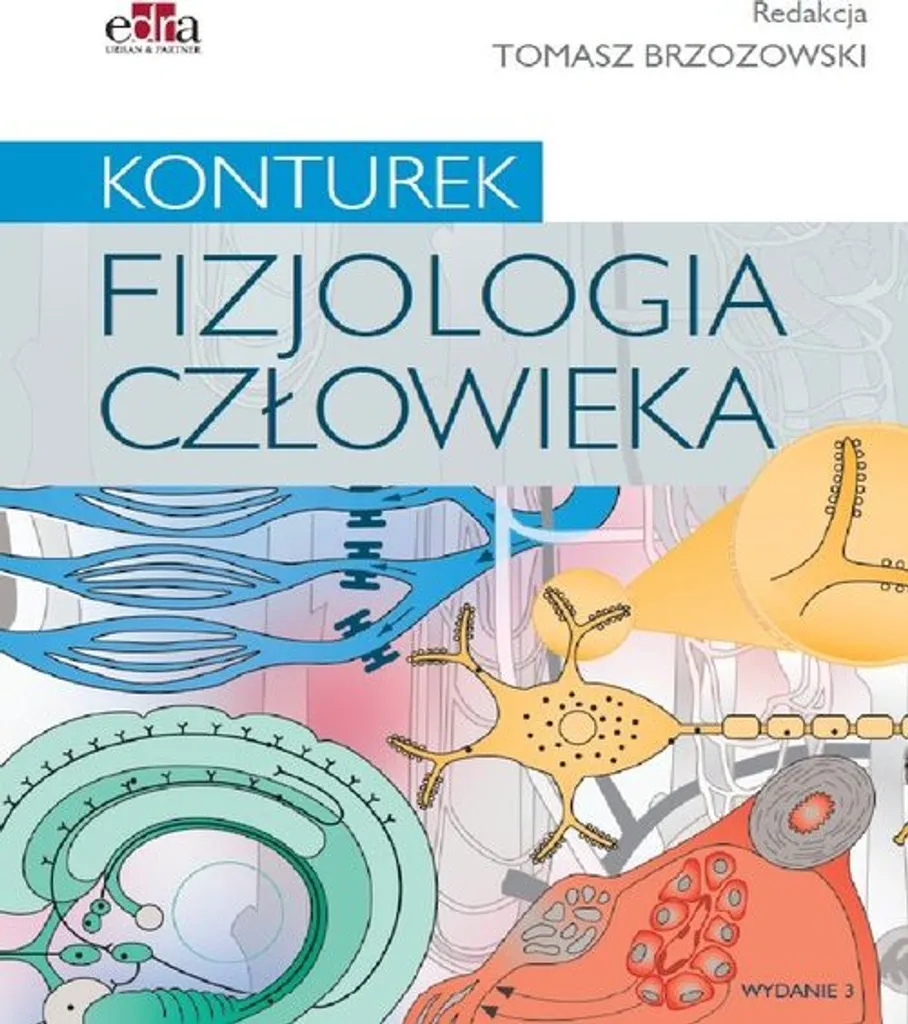 Maîtrisez enfin la physiologie complexe avec Fizjologia człowieka Konturek