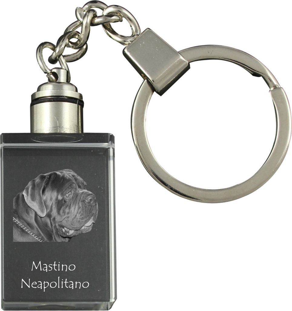 Mastino Napoletano, Neapolitanischer Mastiff - Schlüsselanhänger aus Kristall mit Hundefoto, beleuchteter Schlüsselanhänger, einzigartiges Gesc...