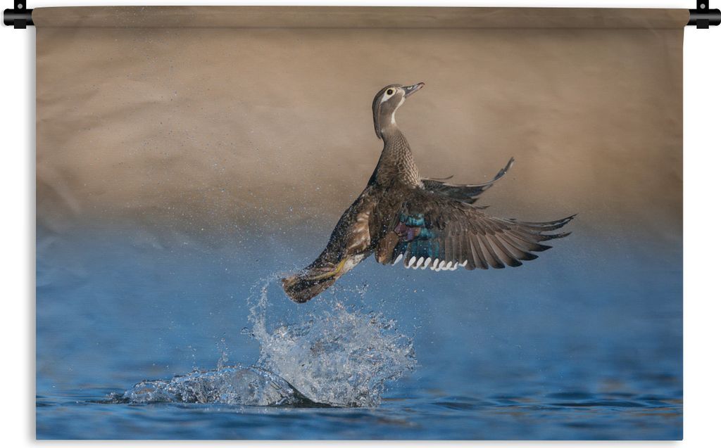 MuchoWow Wandteppich Wandbehang Ente - Flügel - Wasser 120x80 cm Tapisserie Dekoration Wandtuch - Wanddekorationen - Wandtücher