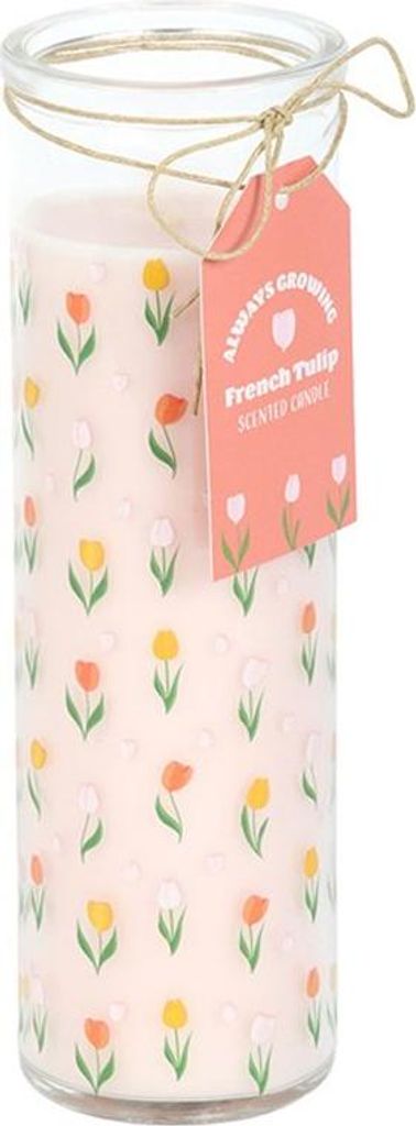 Something Different - Rohr Kerze, Französische Tulpen SD10770 (Einheitsgröße) (Pastell-Rosa/Gelb/Orange)