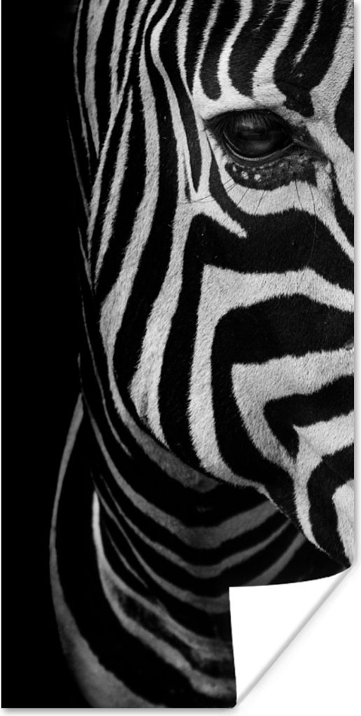 MuchoWow Poster Tiere - Zebra - Schwarz - Weiß 80x160 cm - Kinderzimmer