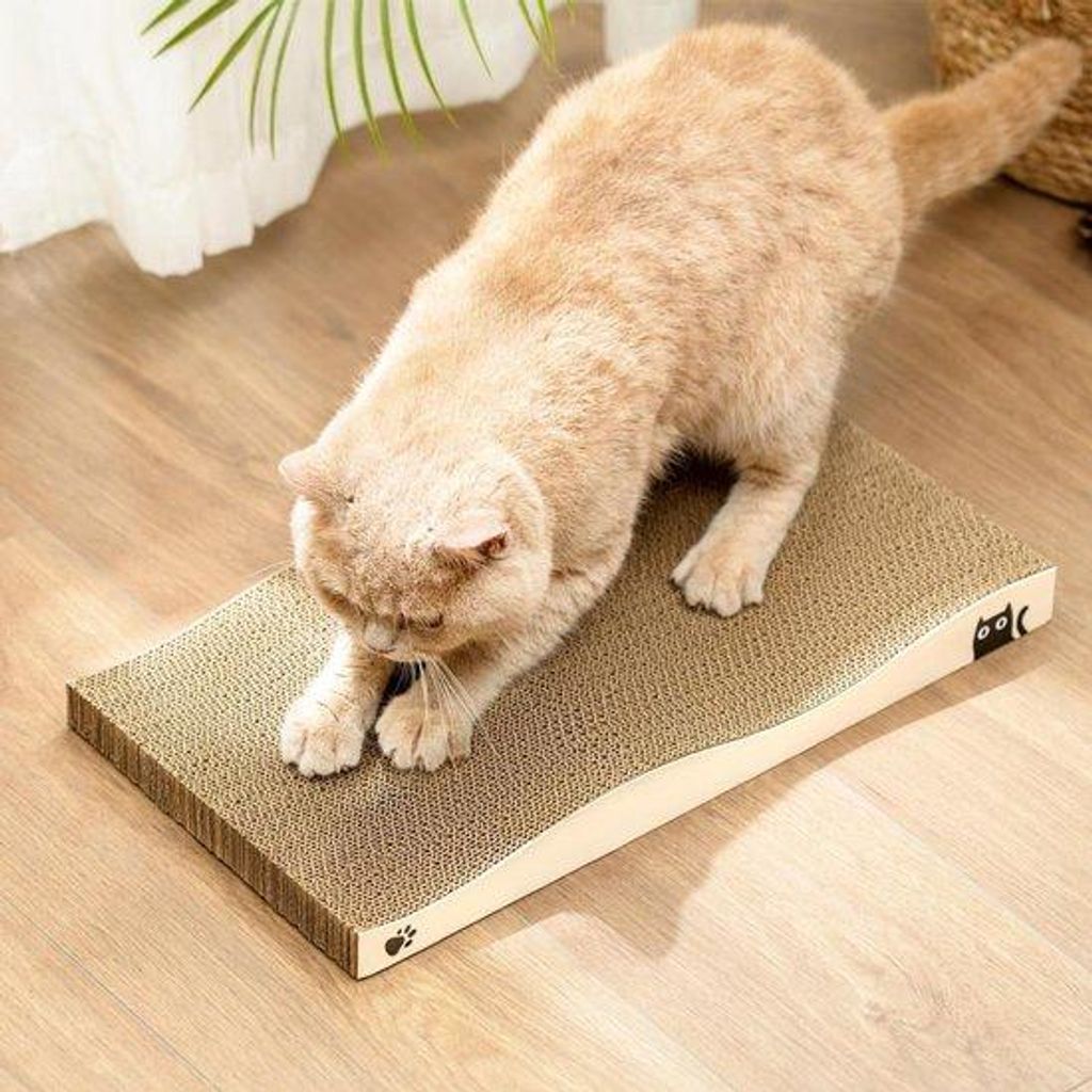 Kräftige Katzenscratchwand aus Karton, doppelseitig, recycelbar