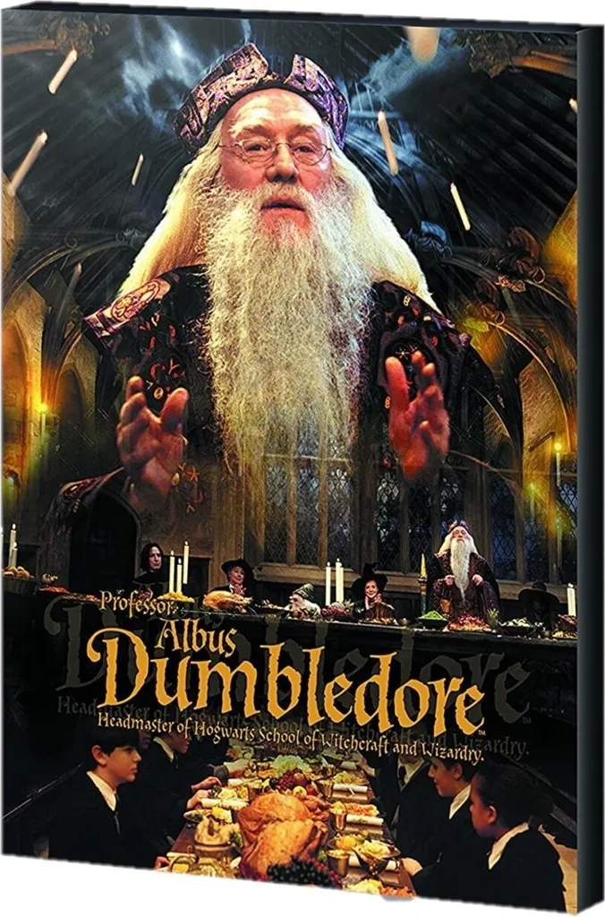 Habillez vos Murs avec cette Toile Harry Potter Chic 50x40cm Noir et Or