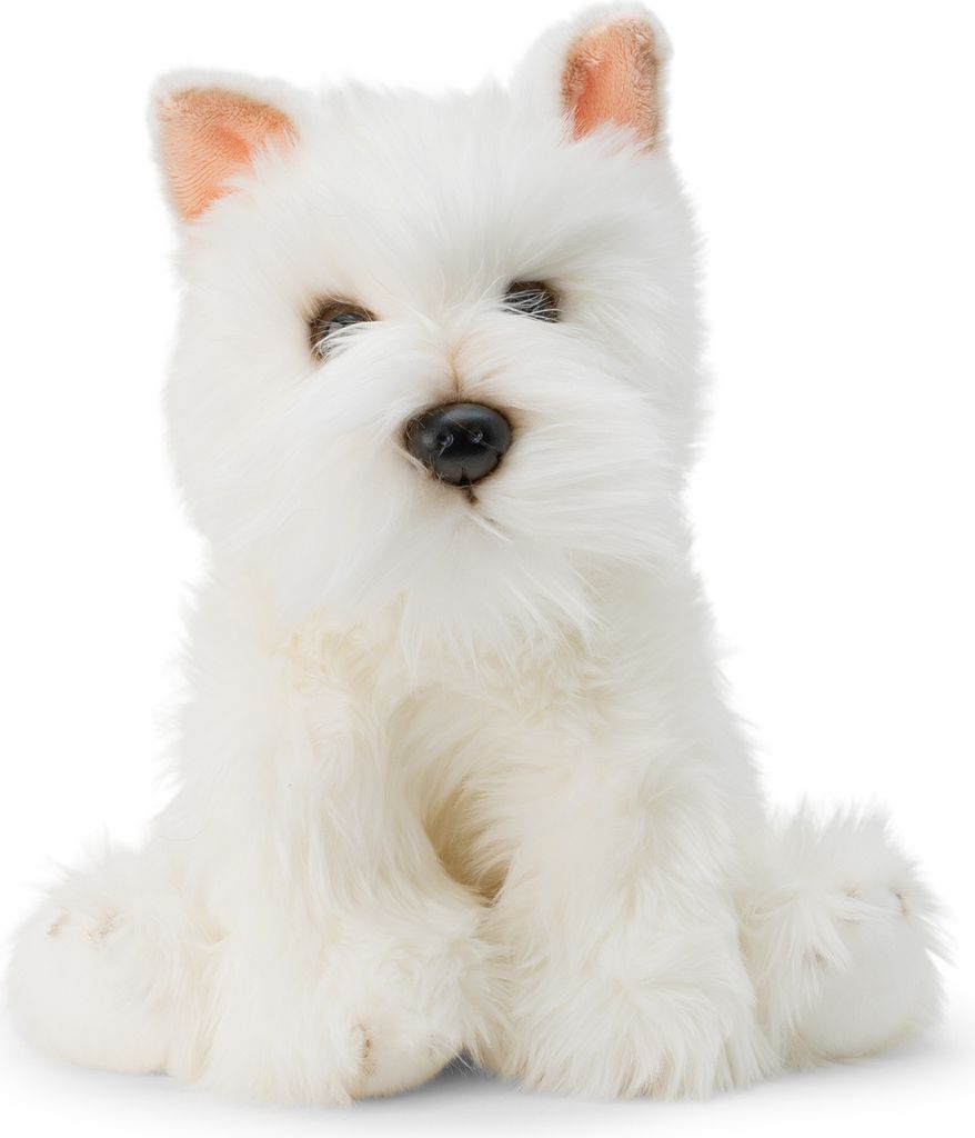 Peluche Animée Chien Westie à Promener - Toy Dog Interactif Pour Enfants, Collection Animigos
