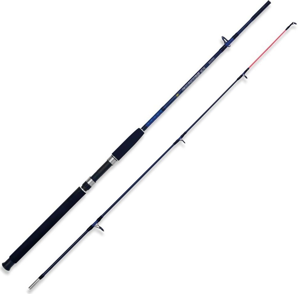 Lineaeffe Caspian Pro Spinnrute Silber 1.50 m / 250 g Silber 1.50 m