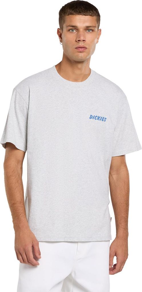 Dickies Herren T-Shirt Dry Ridge grey L