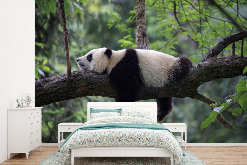 MuchoWow Fototapete für Wohnzimmer oder Schlafzimmer Wandtapete Vinyl Motivtapete Panda - Baum - Tiere - Natur - 450x300 cm - Gemusterte