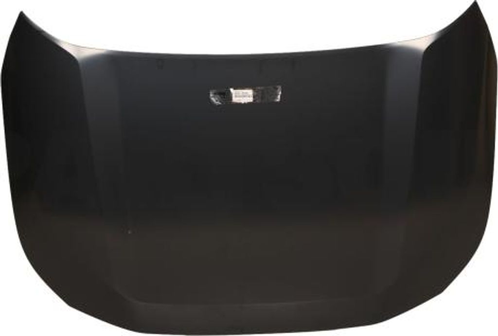 TOYOTA Rav4 Original Motorhaube 53301-42150 OE