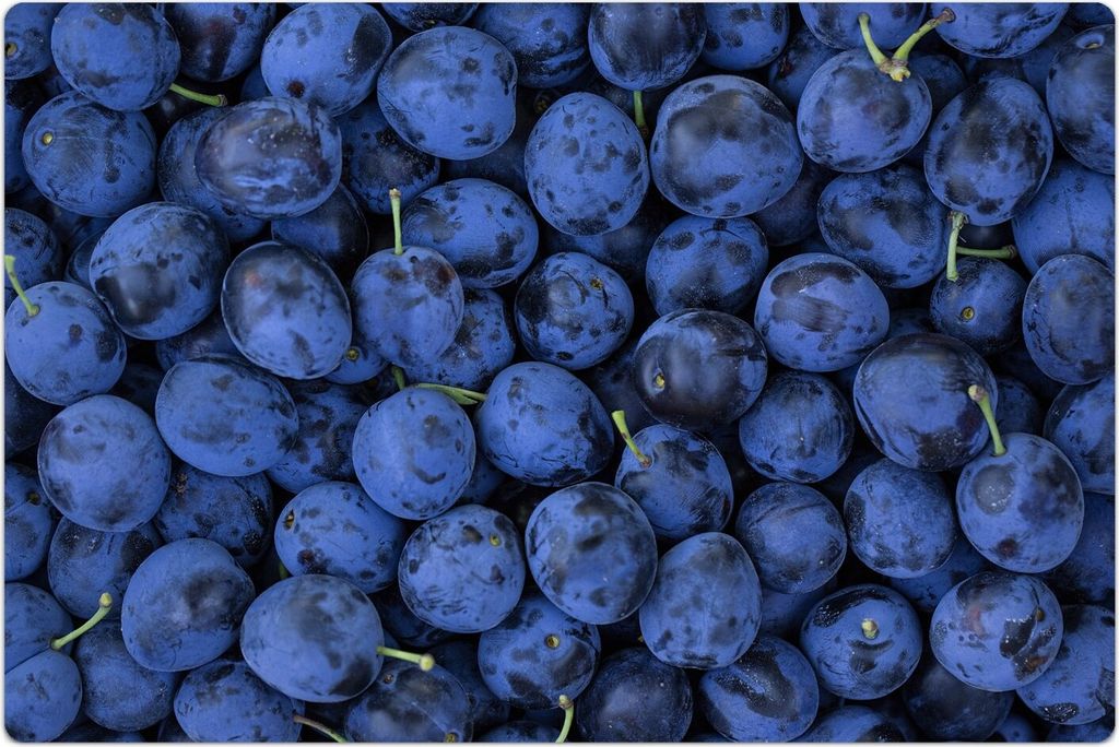 Küchenmatte 150x225 cm Vinylmatte Bodenmatte Dekoration - Pflaumen