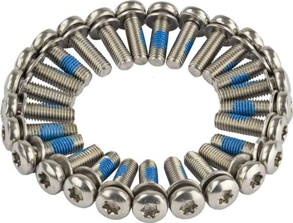 Anp-Schraube M5x16 Torx M-Platte Edelstahl DS A 25