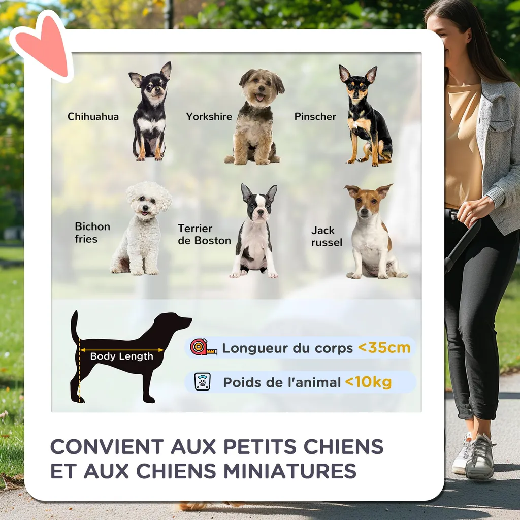 Poussette chien chat pliable : solution transport sans effort bleu - 3