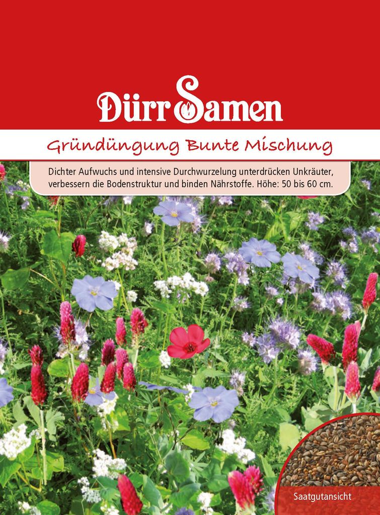 Artikelbild 1 von 'Gründünger Bunte Mischung Portionstüte 50 g'