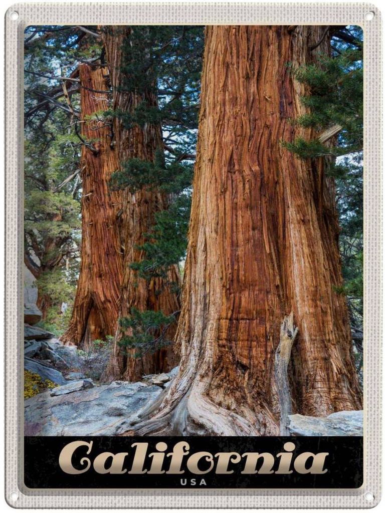 vianmo Blechschild 40x30 cm California Amerika USA Urlaub Natur Wald Bäume Bildmotiv Reisemotiv Abenteuer Reisen