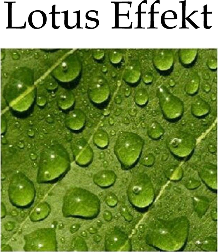 heimtexland ® Outdoor Deko Kissen Sitzkissen Lotus Effekt Produktbild 7