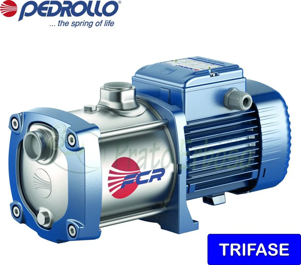 Pompe Pedrollo FCR 80/2 : Finissez-en avec les baisses de pression d'eau
