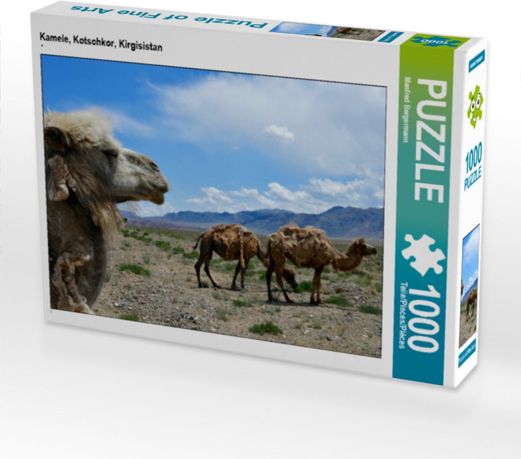 CALVENDO Puzzle Kamele, Kotschkor, Kirgisistan 1000 Teile Produktbild 