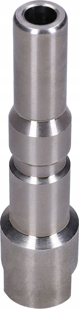 Sillar Adapter für KEW auf 1/4 IG für Nilfisk-Alto WAP Hochdruckreiniger und Zubehör