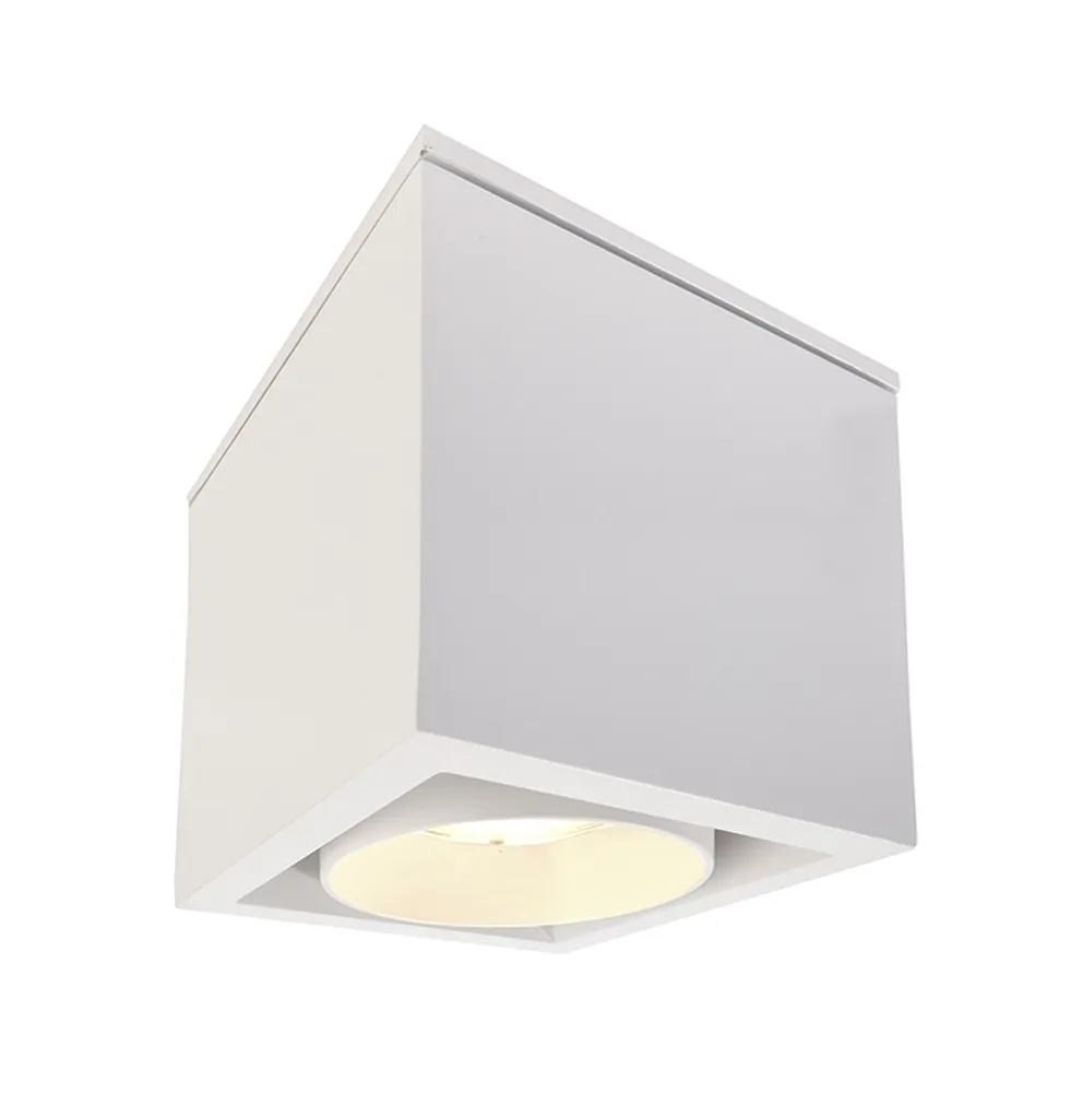 Plafonnier Apparent Ceti KapegoLED 348045 Blanc Mat pour Intérieur Moderne