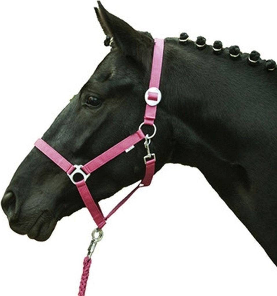 HKM Halfter Stars Economy Softice NEONGRÜN, Gr. Vollblut