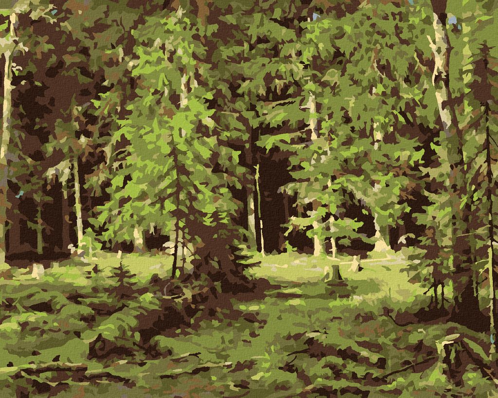 Zuty - Malen nach Zahlen - WALD (IVAN SHISHKIN), 40x50 cm, mit Keilrahmen (bereits gespannt)